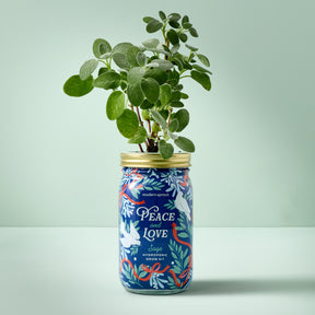 Holiday Garden Jars