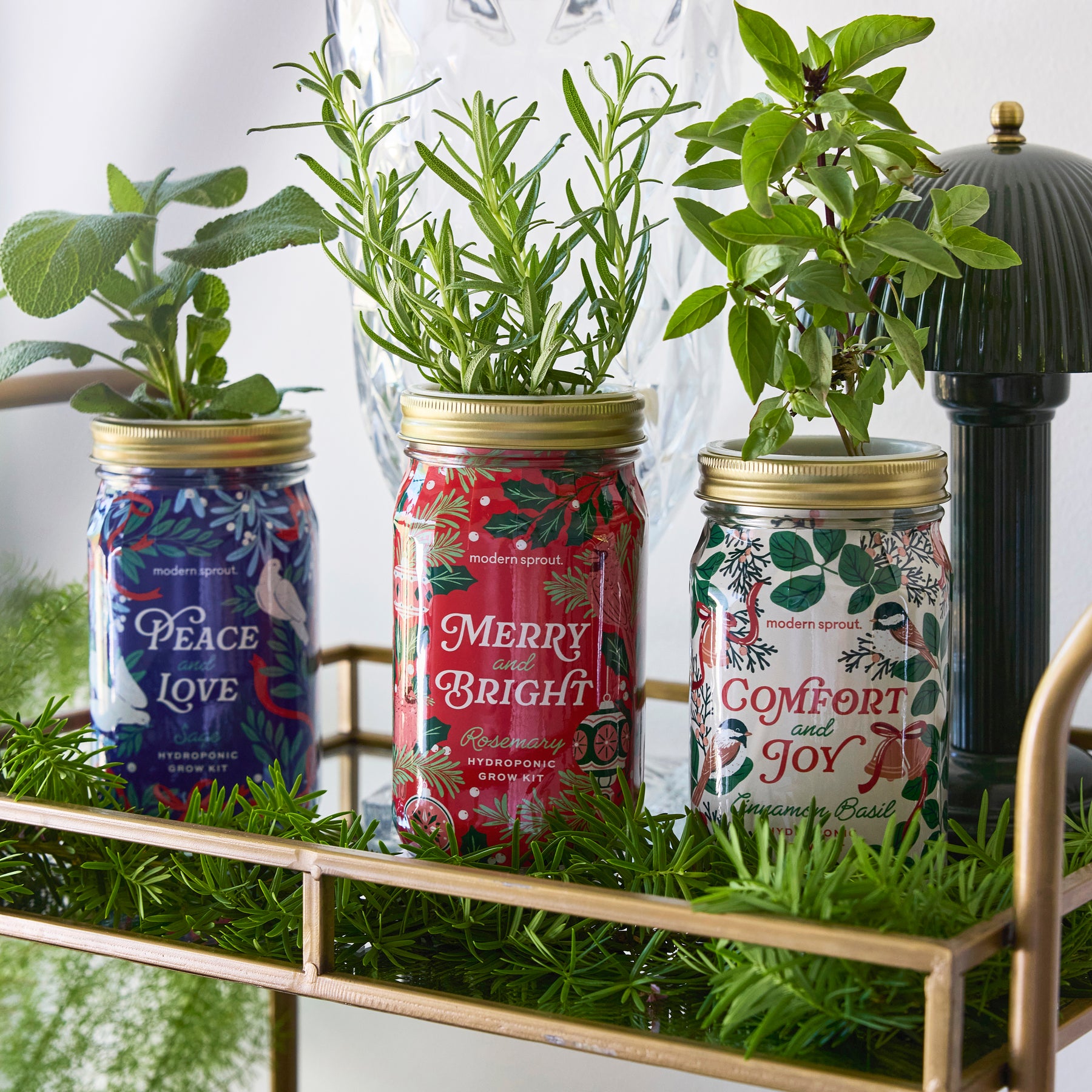 Holiday Garden Jars