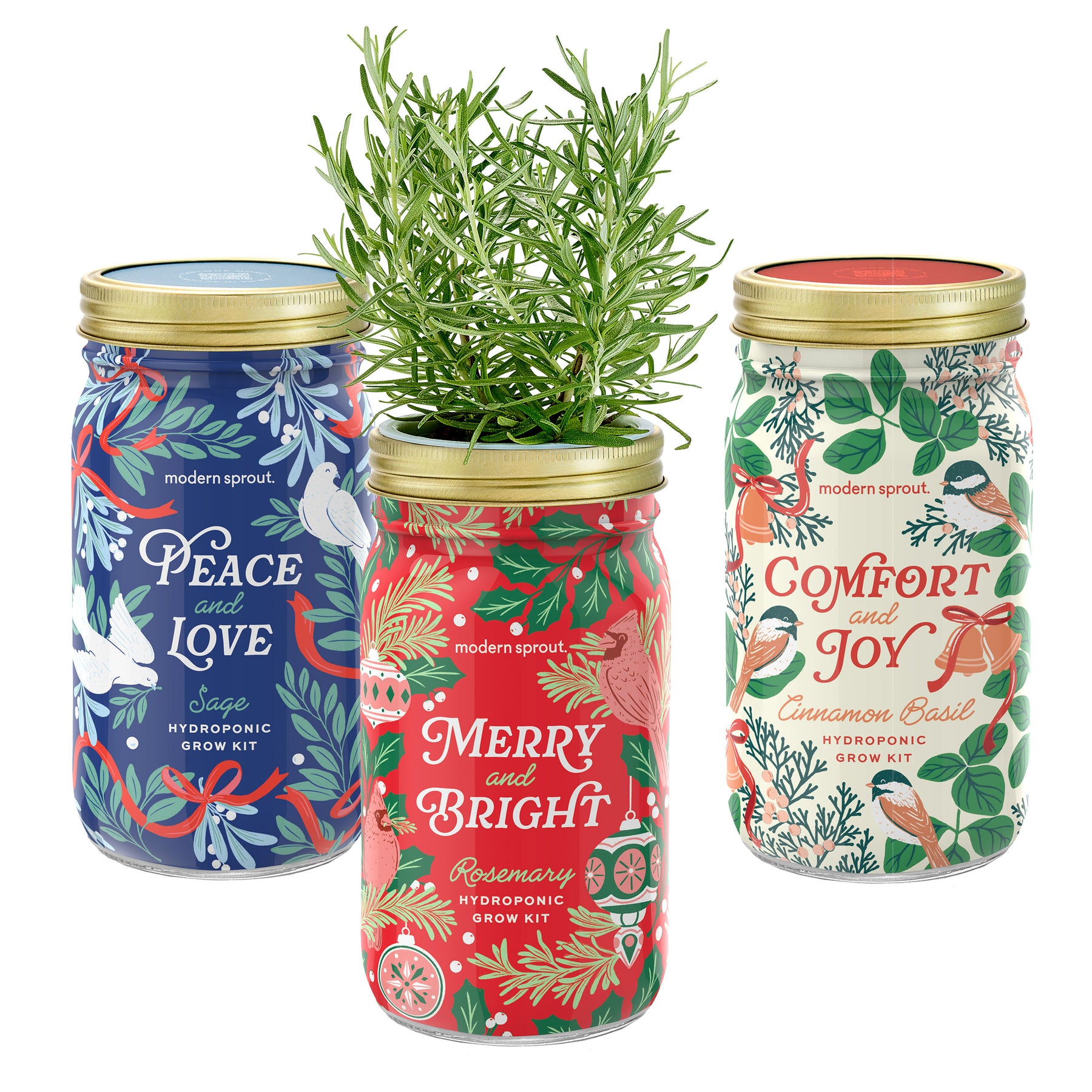 Holiday Garden Jars