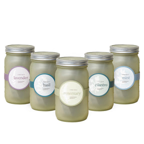 Set of five green glass garden jars labeled with lavender, basil, rosemary, cilantro, and mint for herb storage.