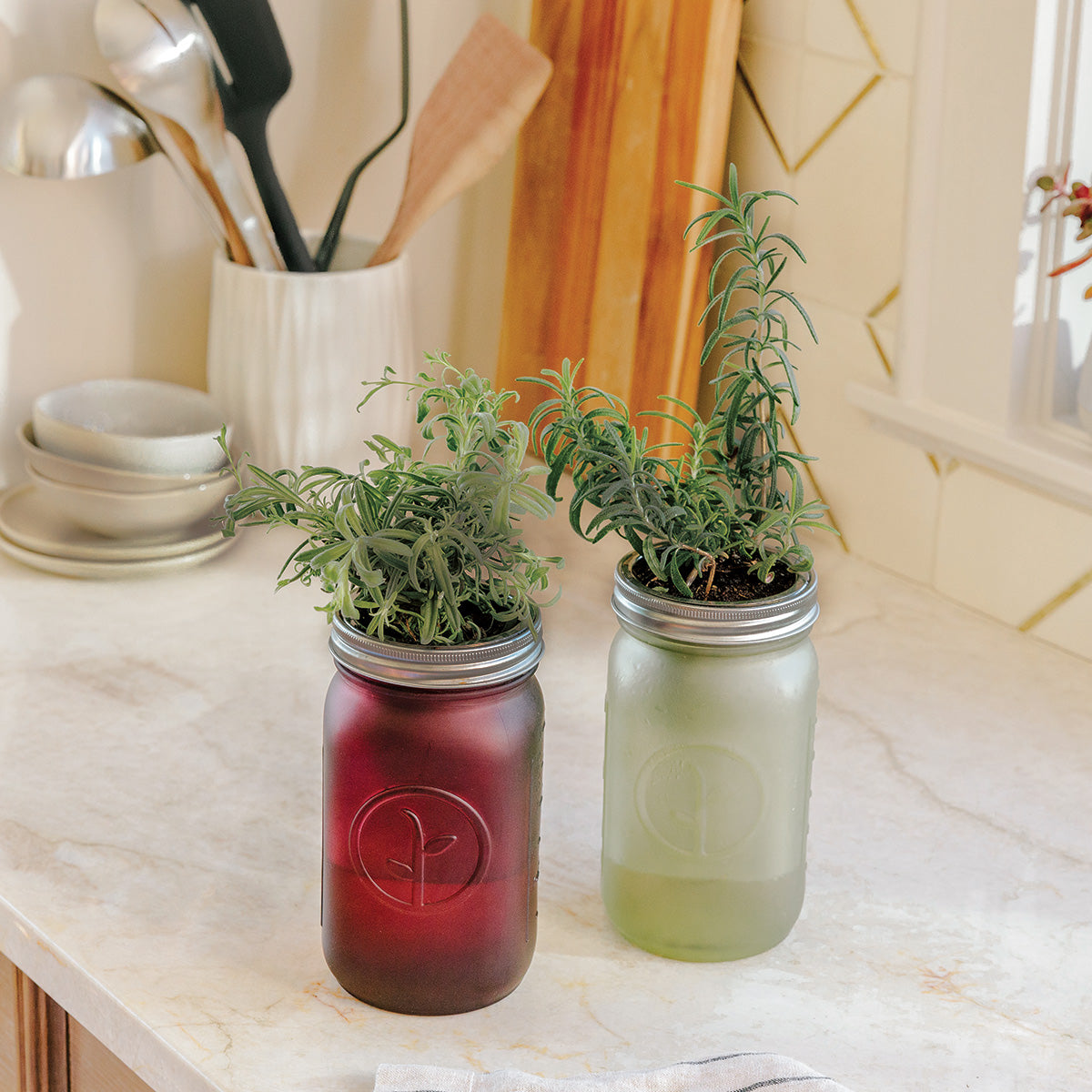 Two hydroponic herb jars on a kitchen counter, one red and one green, with lush herbs growing.