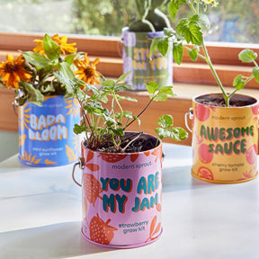 Colorful grow kits in decorative cans, featuring vibrant labels for strawberry, cherry tomato, and flower plants.