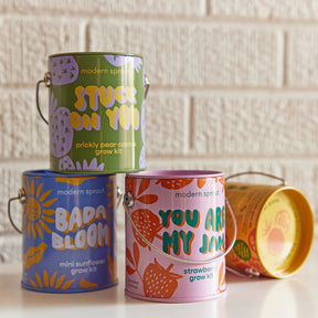 Four colorful grow kits in decorative cans, featuring designs for prickly pear, mini sunflower, and strawberry plants.