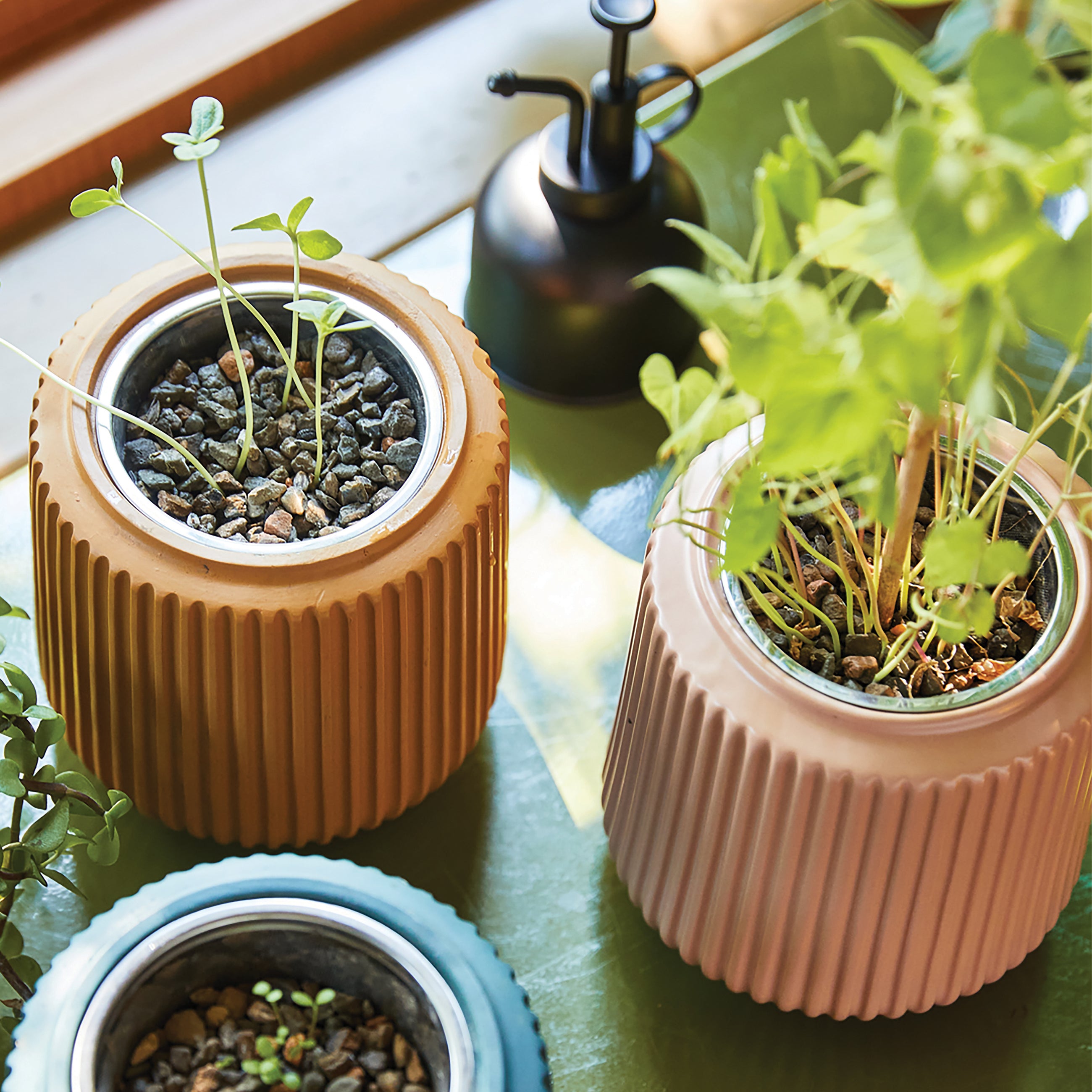 Two ribbed hydroponic planters in beige and terracotta, filled with small green plants and pebbles, on a glossy green surf...