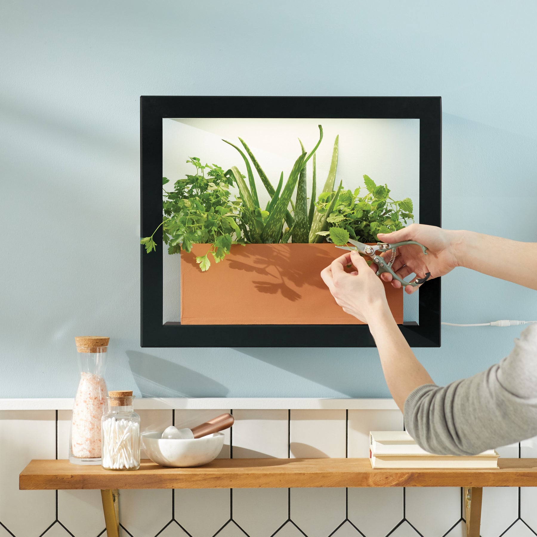 Smart Standard Growframe