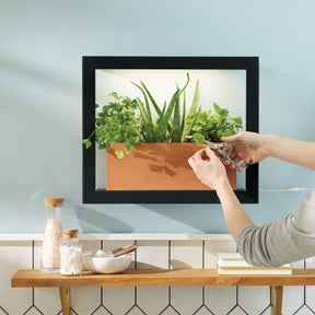 Smart Standard Growframe