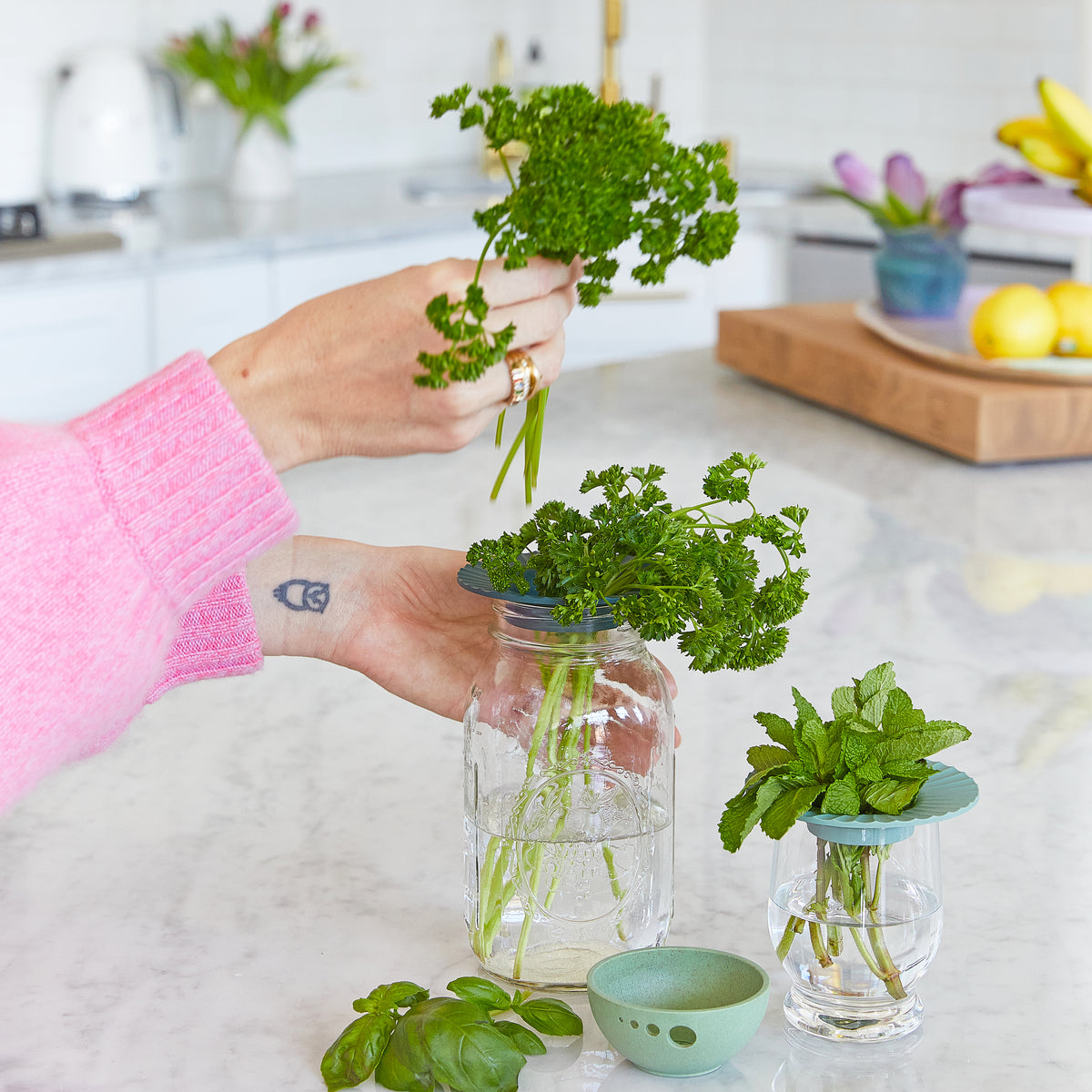 Person holding fresh parsley above a glass jar with water; mint and basil in stylish containers on a marble countertop.