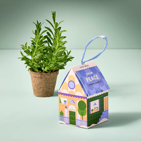 Home Grown Ornaments lavender grow kit in a house-shaped box next to a small potted lavender plant.