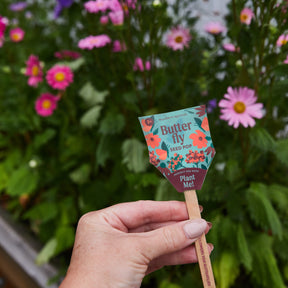 Hand holding a Butterfly Seed Pop with vibrant flower graphics, set against a backdrop of blooming flowers.