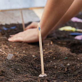 A hand planting a Seed Pop marker in rich soil, indicating the location of pollinator seeds being sown.