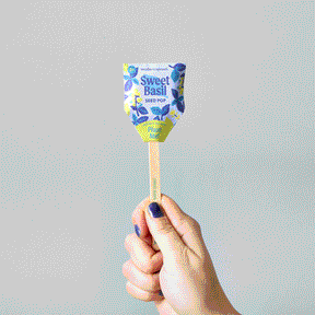 Hand holding a Sweet Basil Seed Pop by Modern Sprout, featuring vibrant packaging with floral designs.
