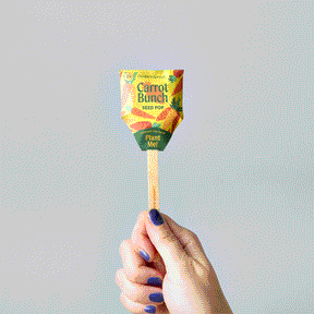 Hand holding a colorful carrot bunch seed pop with a wooden stick against a light blue background.
