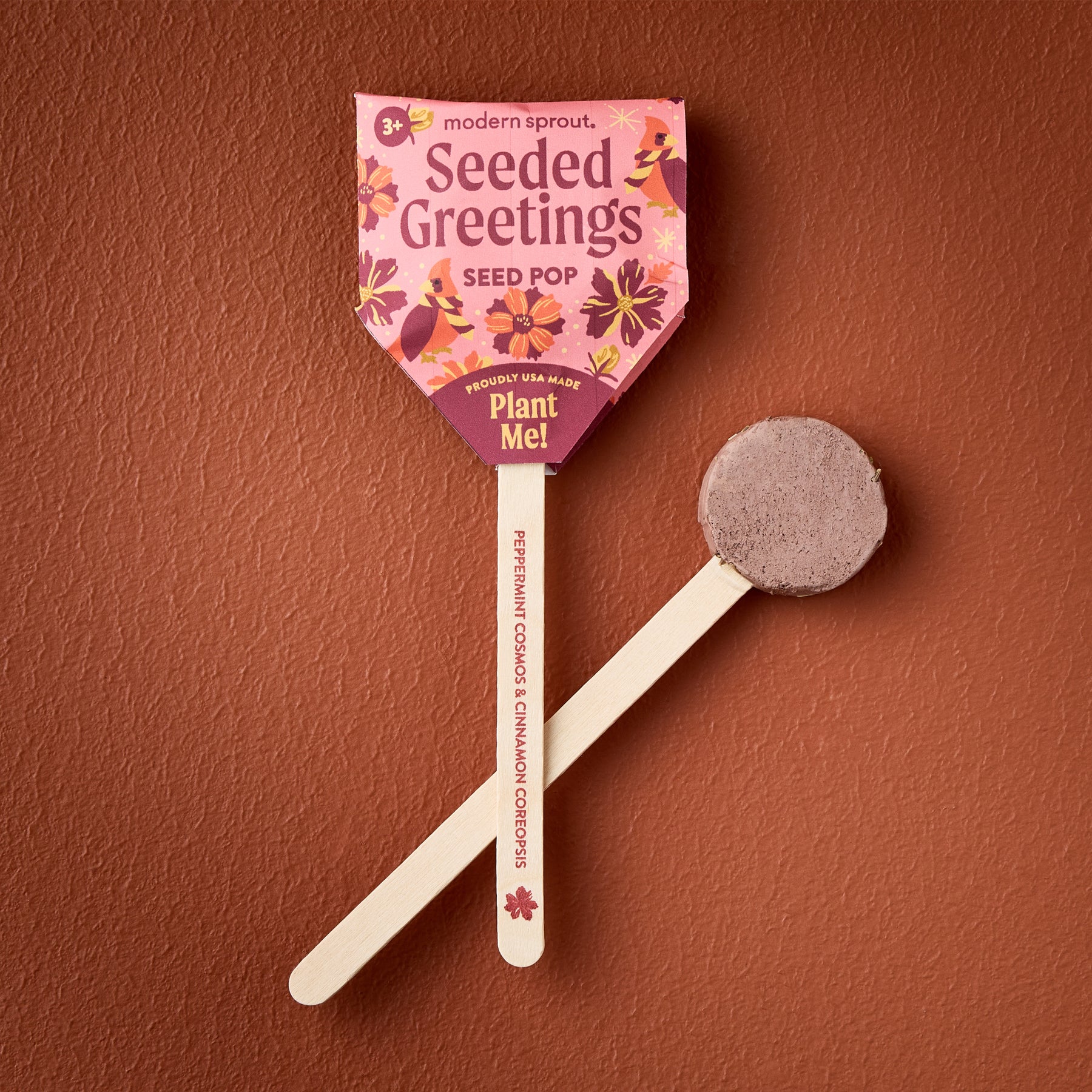 Seed Pops - Holiday