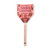 Seed Pops - Holiday