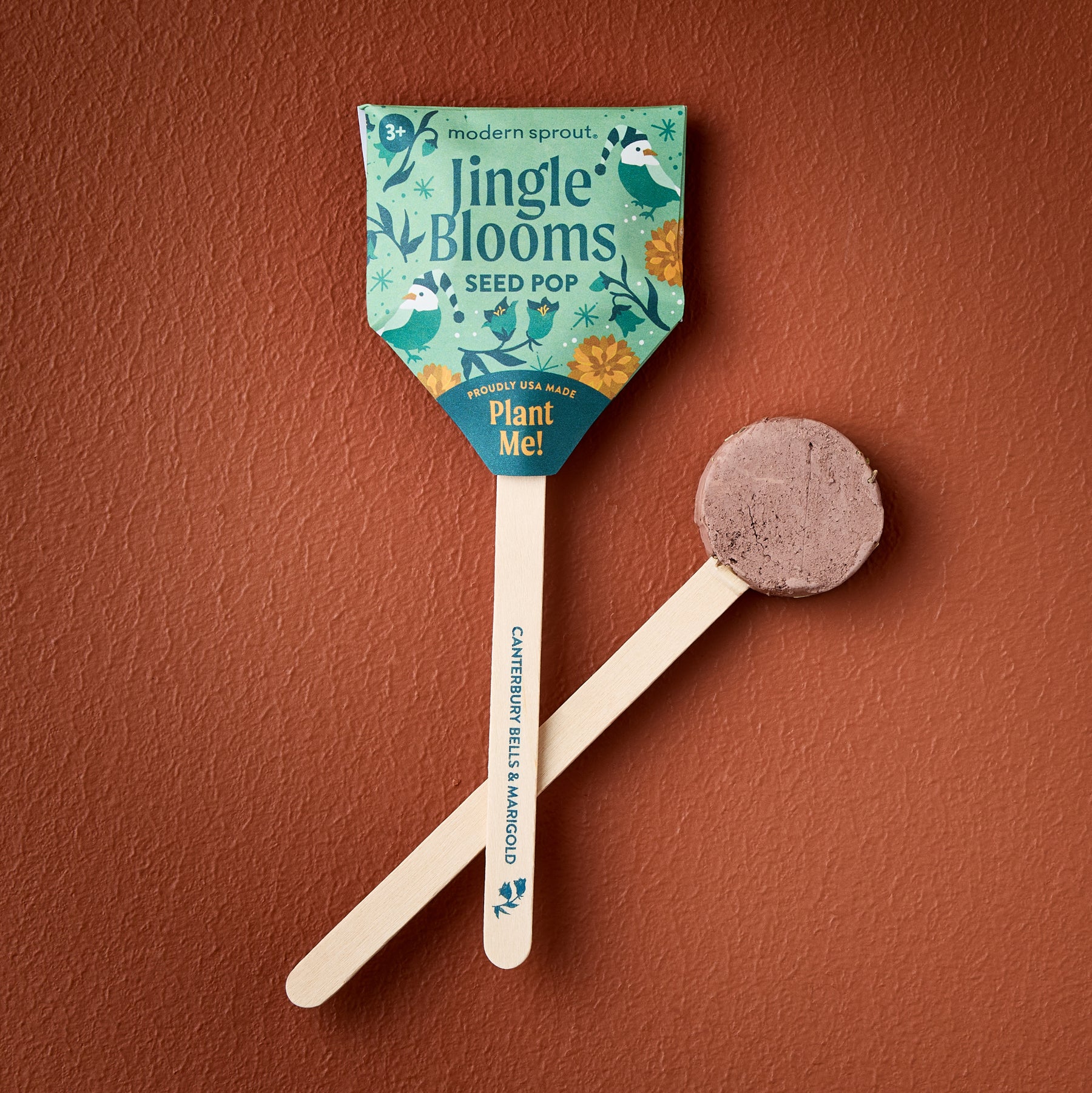 Seed Pops - Holiday