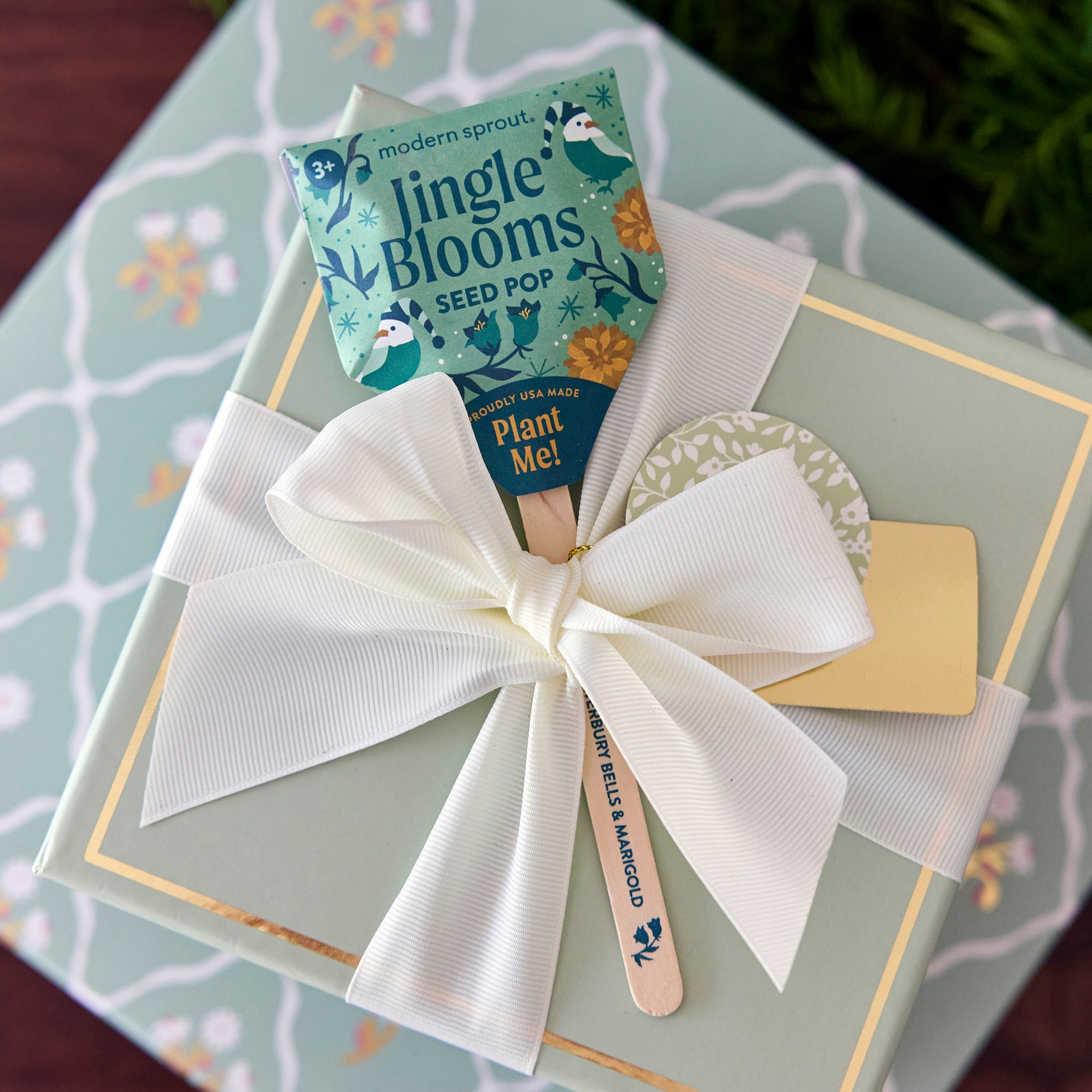 Seed Pops - Holiday