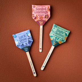 Seed Pops - Holiday
