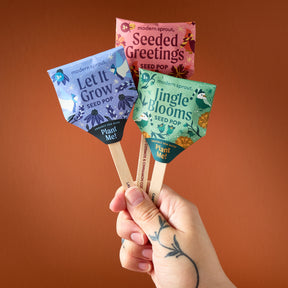 Seed Pops - Holiday