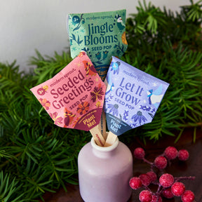 Seed Pops - Holiday