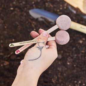 Hand holding two Seed Pops, circular seed discs on wooden sticks, above soil with gardening tools in the background.