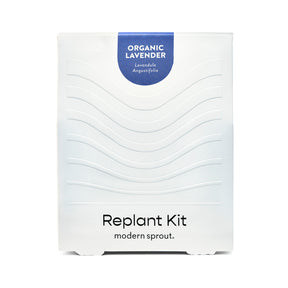 Organic lavender replant kit packaging featuring a sleek design with wavy lines and the Modern Sprout logo.