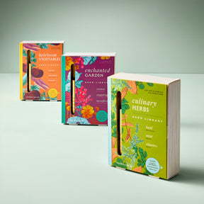 Three colorful seed library boxes titled "Heirloom Vegetables," "Enchanted Garden," and "Culinary Herbs," showcasing vibrant floral designs.