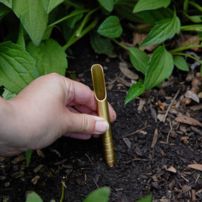 A hand using a gold seed library tool to plant seeds in dark soil surrounded by green foliage.
