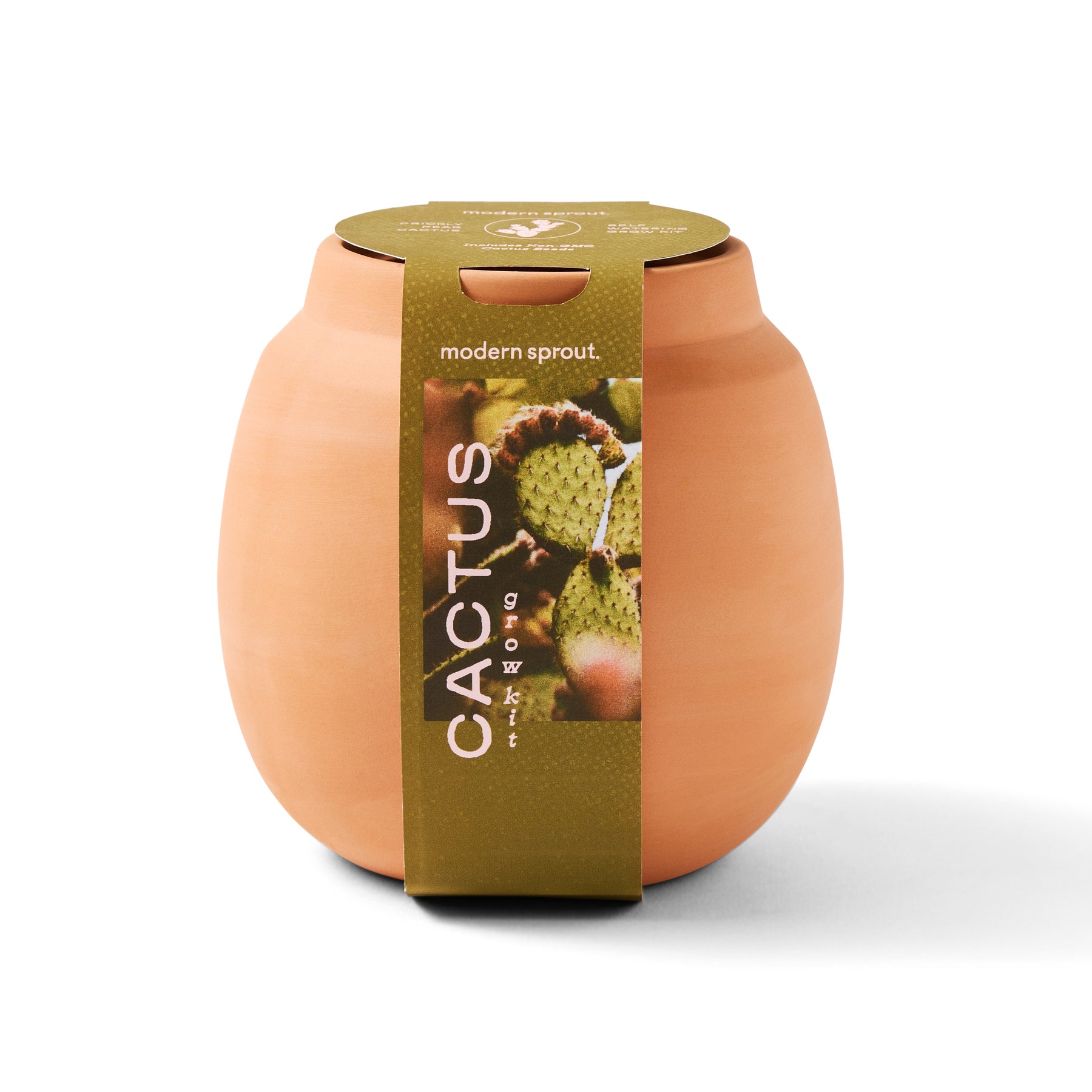 Modern Terracotta Grow Kits