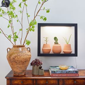 Modern Terracotta Grow Kits
