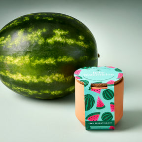 Tiny Terracotta Garden Kit featuring a Baby Watermelon seed sprouting kit next to a whole watermelon on a light background.