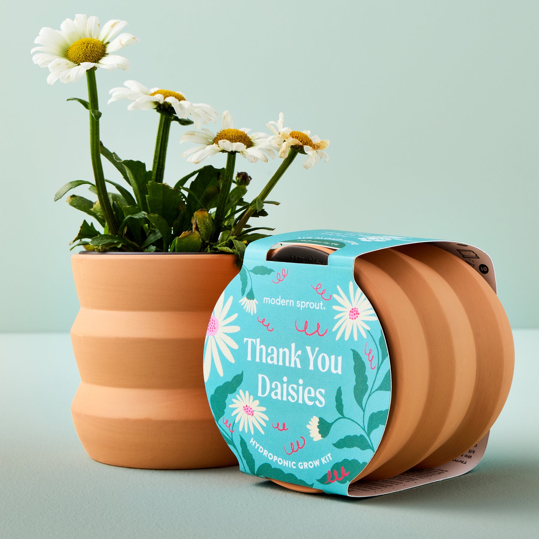 New Tiny Terracotta Grow Kits