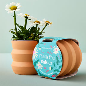 New Tiny Terracotta Grow Kits