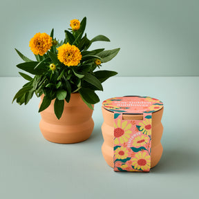New Tiny Terracotta Grow Kits