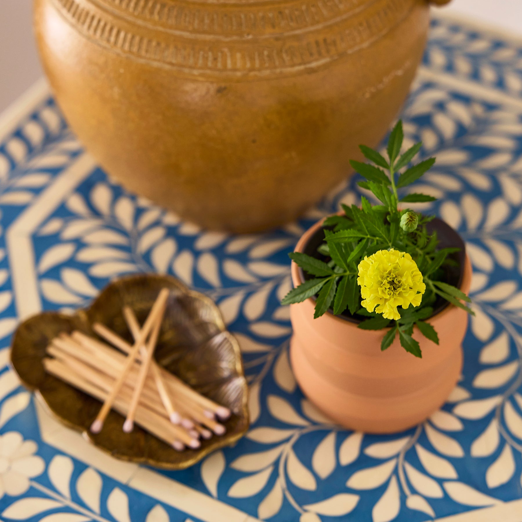 New Tiny Terracotta Grow Kits