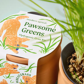 New Pet Tiny Terracotta Grow Kits