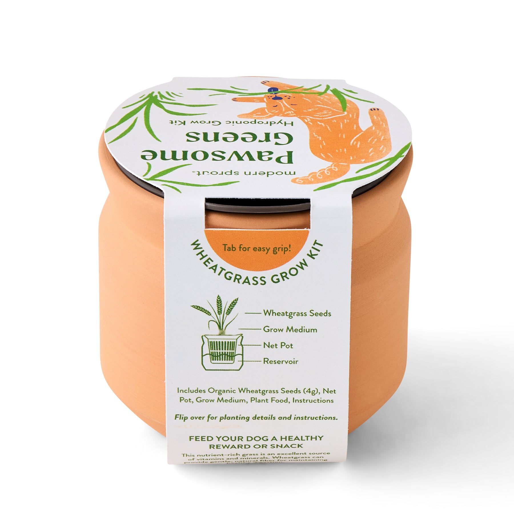 New Pet Tiny Terracotta Grow Kits