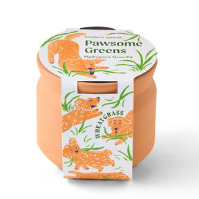 New Pet Tiny Terracotta Grow Kits