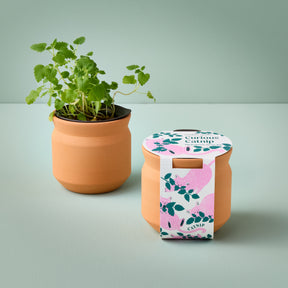 New Pet Tiny Terracotta Grow Kits