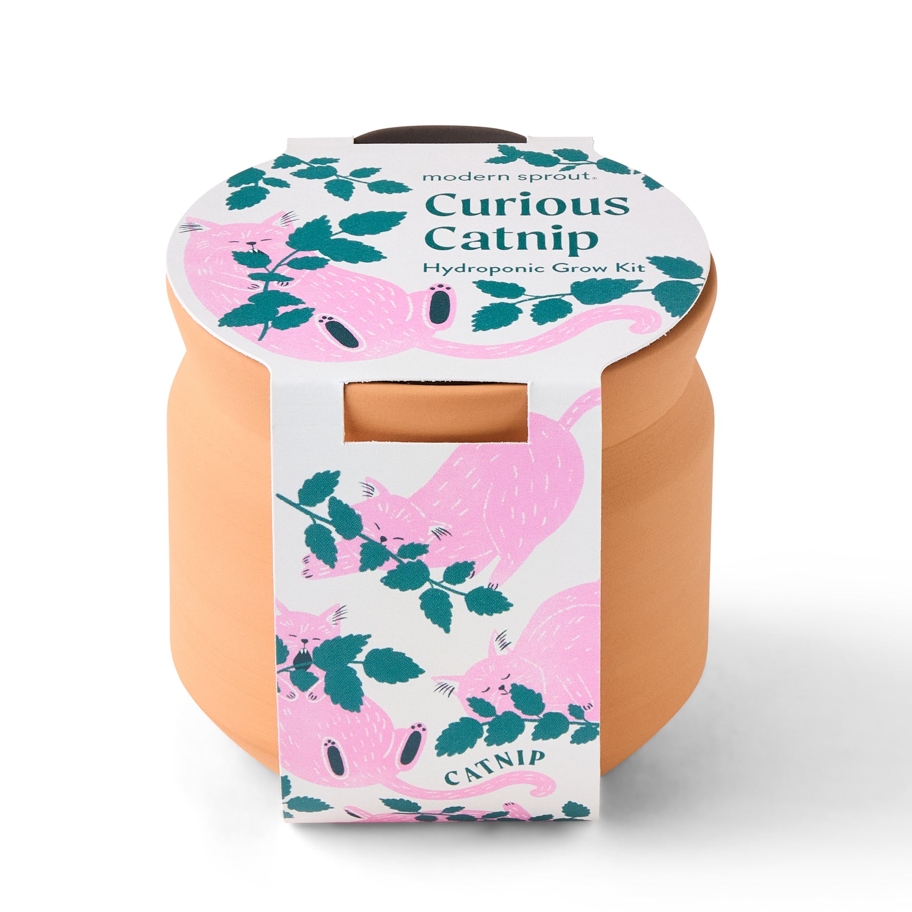 New Pet Tiny Terracotta Grow Kits