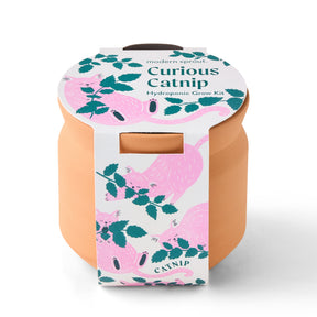 New Pet Tiny Terracotta Grow Kits