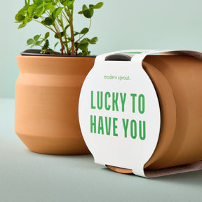 New Tiny Terracotta Sentiment Grow Kits