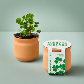New Tiny Terracotta Sentiment Grow Kits