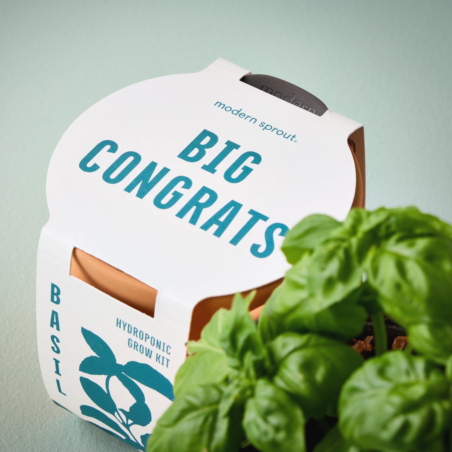 New Tiny Terracotta Sentiment Grow Kits