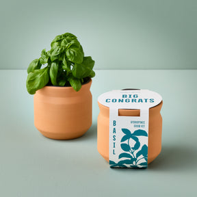 New Tiny Terracotta Sentiment Grow Kits