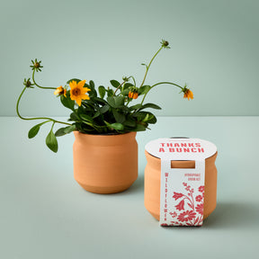 New Tiny Terracotta Sentiment Grow Kits