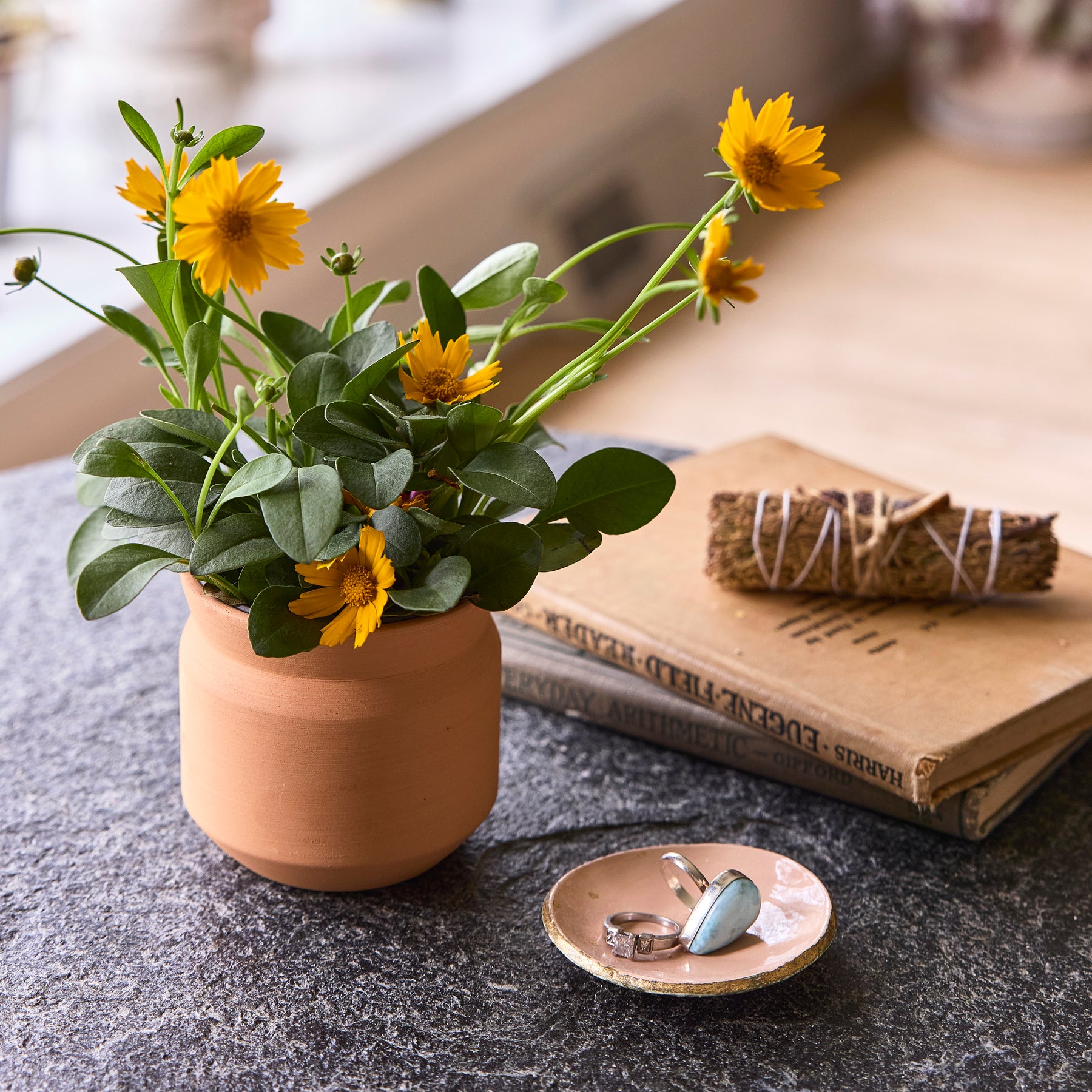 New Tiny Terracotta Sentiment Grow Kits