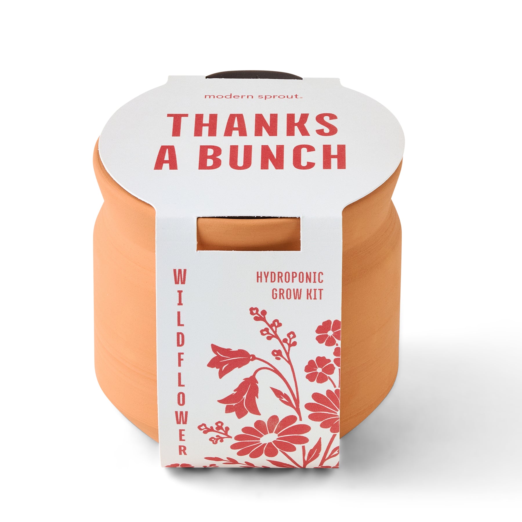 New Tiny Terracotta Sentiment Grow Kits