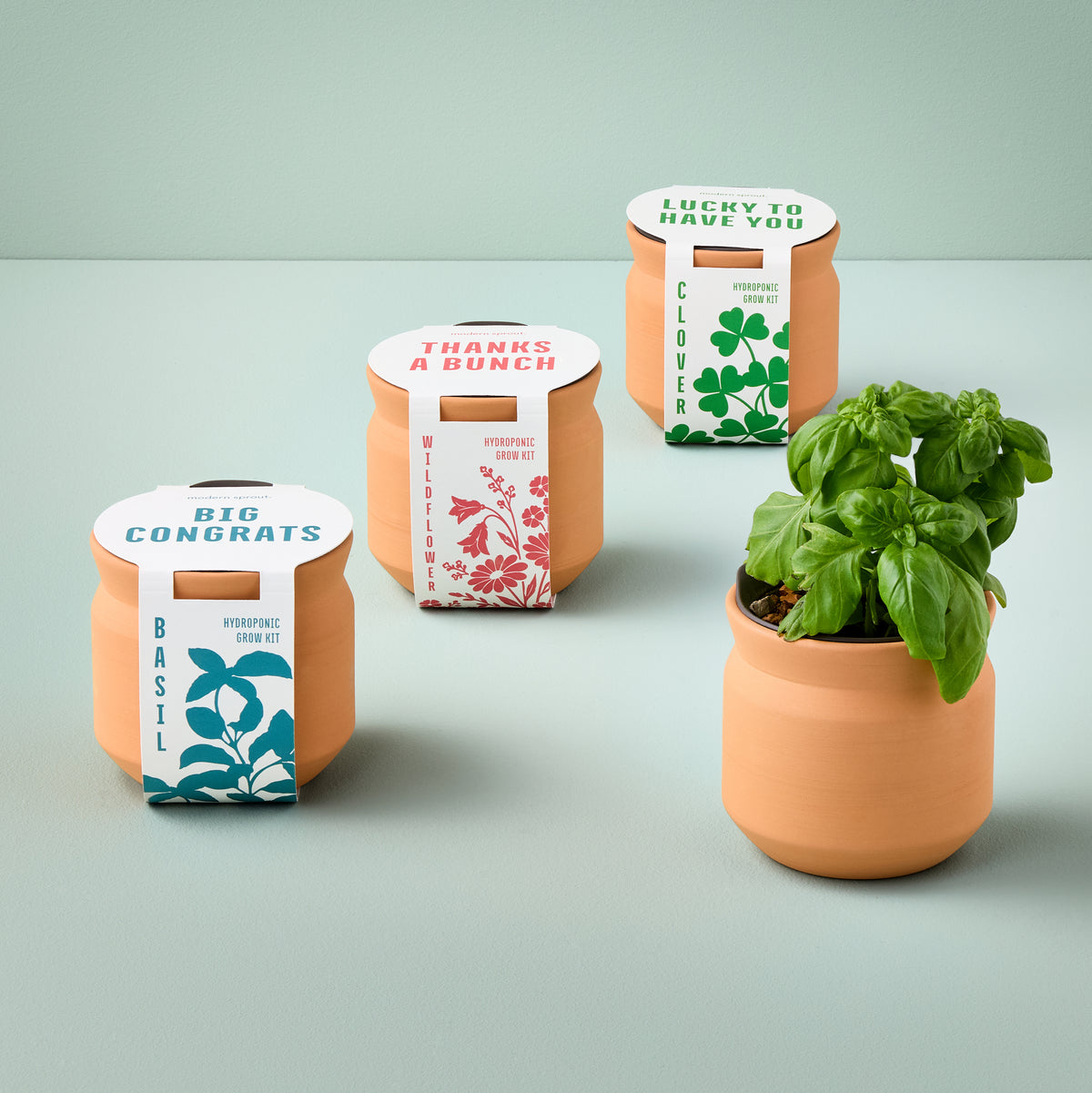 New Tiny Terracotta Sentiment Grow Kits