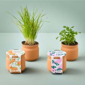 New Pet Tiny Terracotta Grow Kits
