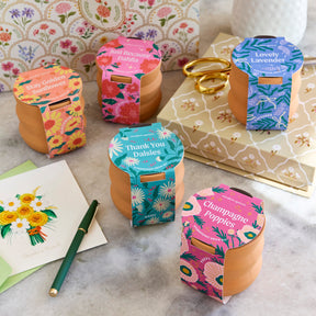 New Tiny Terracotta Grow Kits